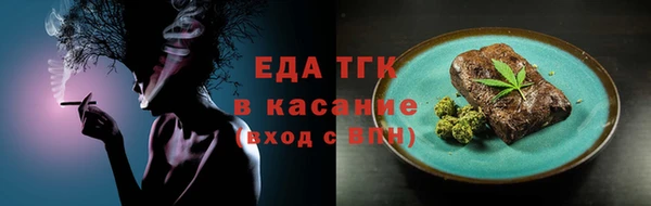 индика Абаза