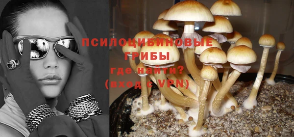 индика Абаза