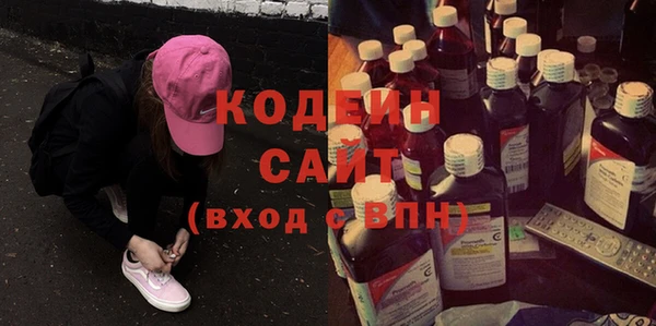 индика Абаза