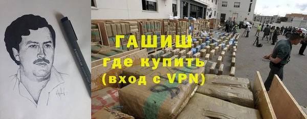 индика Абаза