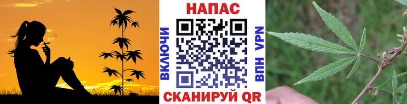 купить наркотики цена Абдулино Конопля SATIVA & INDICA